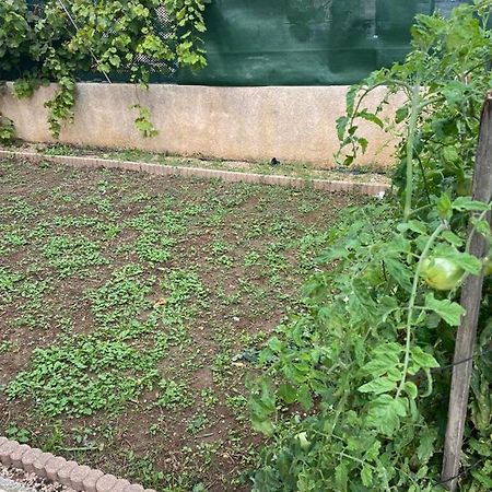 Studio - Carre De Soie Vaulx En Velin Εξωτερικό φωτογραφία