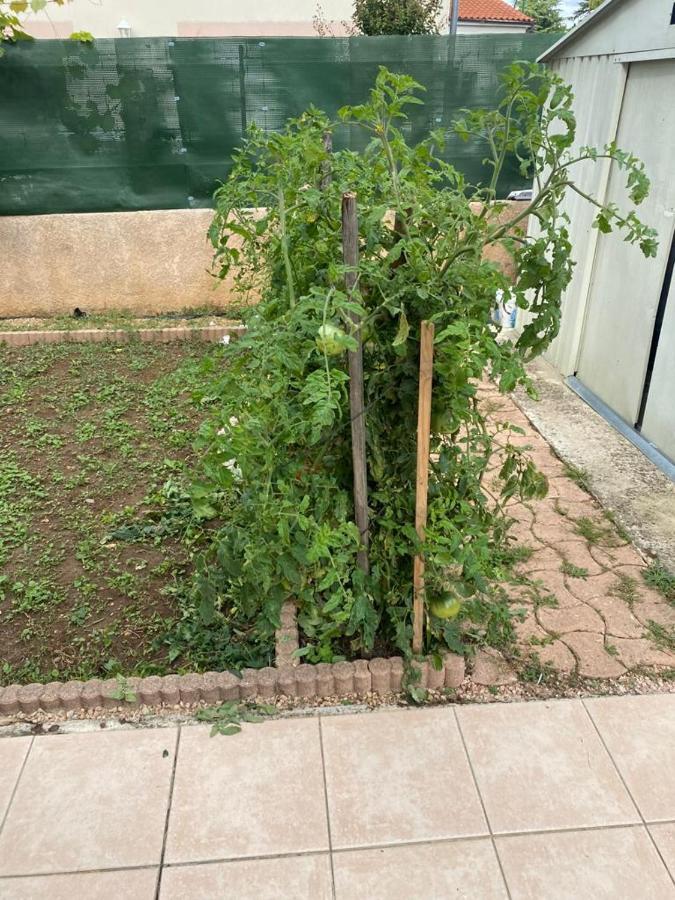 Studio - Carre De Soie Vaulx En Velin Εξωτερικό φωτογραφία